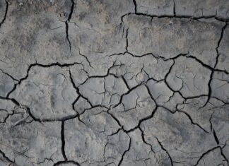 Co na popękane usta Rossmann? Co na popękane usta Rossmann?