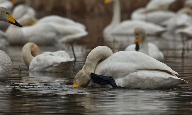 Dlaczego wieczorem wszystko mnie swędzi?